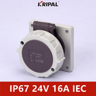 48V 32A IP67 3P Niskonapięciowe gniazdo montowane na panelu IEC Standard